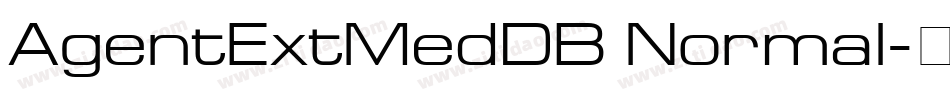 AgentExtMedDB Normal字体转换